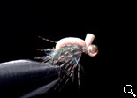 BF Nymph BeadsHead 
(Peacock Green)
