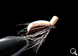 BF Nymph-AD (Brown-C)