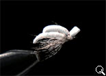BF Nymph-AD (White)