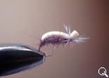 BF Pupa-CD (Olive Brown)