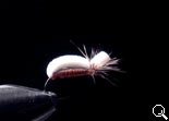 BF Pupa-AD (Brown)