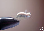 BF Pupa-CD (Peacock Green)