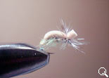 BF Pupa-CD (Olive)