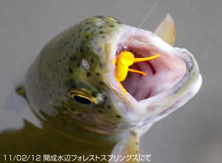 JӃtHXgXvOXɂ