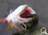 img-359