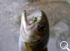 img-380