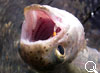 img-382