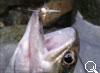 img-386