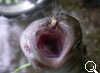 img-390