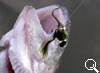 img-438