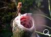 img-469
