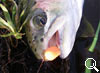 img-474
