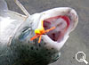 img-580