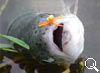 img-581