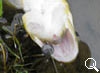 img-599