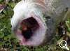 img-655