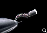 BF Veatical Pupa Peacock
(Black/White top)